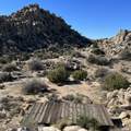 5850 Cactus Canyon Trail - Photo 9