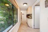 50006 Calle Rosarita - Photo 38