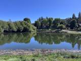 43063 Goldmine Woods Lane - Photo 40