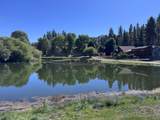 43063 Goldmine Woods Lane - Photo 41