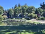 43063 Goldmine Woods Lane - Photo 42