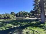 43063 Goldmine Woods Lane - Photo 43