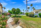 34351 Calle Las Palmas - Photo 36