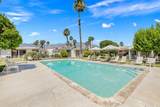 34351 Calle Las Palmas - Photo 50