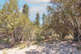 40587 Ironwood Drive - Photo 8