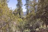 40587 Ironwood Drive - Photo 9
