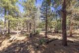 655 Cedar Glen Drive - Photo 6