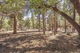 655 Cedar Glen Drive - Photo 8
