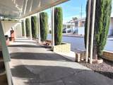 54999 Martinez Trail - Photo 48