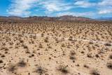 108 Twentynine Palms Highway - Photo 29