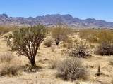 108 Twentynine Palms Highway - Photo 37