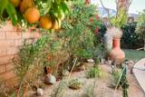 310 Via Don Benito - Photo 40