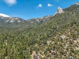 25100 Rim Rock Road - Photo 2