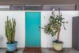 795 Chuckwalla Road - Photo 50