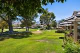 7591 Calle Mazamitla - Photo 43