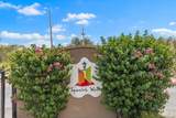 467 Paseo Del Corazon - Photo 34
