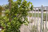 81711 Brittlebush Lane - Photo 27