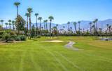 29168 Desert Princess Drive - Photo 29