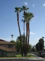 46805 Highway 74 - Photo 25
