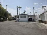 173 Coyote - Photo 2