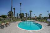 48970 Cochran Drive - Photo 42