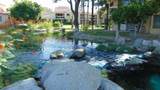 35200 Cathedral Canyon Drive - Photo 16