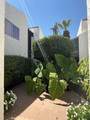 1388 Camino Real - Photo 16