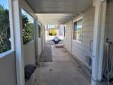 33250 Barcelona Drive - Photo 46