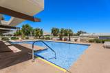 15300 Palm Drive - Photo 38