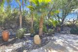 80769 Avenida Manzanillo - Photo 48