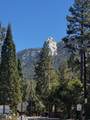 25955 California 243 - Photo 31