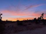 4039 Greasewood Lane - Photo 21