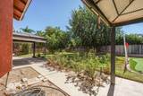 25599 Fruit Tree Street - Photo 51
