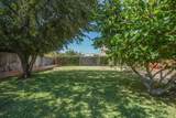 25599 Fruit Tree Street - Photo 55