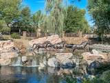 81665 Haflinger Way - Photo 50