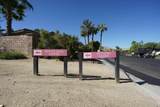 52135 Shining Star Lane - Photo 49