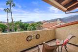 323 Calle Jasmin - Photo 33