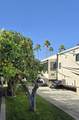69411 Ramon Road - Photo 1
