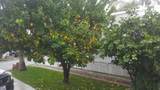69411 Ramon Road - Photo 10