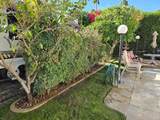 69411 Ramon Road - Photo 4