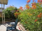 73892 Line Canyon Lane - Photo 18