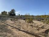 6117 View Valley Street - Photo 12