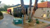 49091 Washington Street - Photo 2
