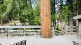 54905 North Circle Drive - Photo 44