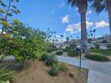 37800 Da Vall Drive - Photo 32