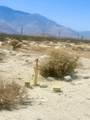 00 Desert Terrace Way - Photo 7
