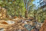24700 Forest Drive - Photo 78