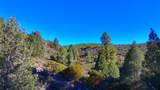 1 Butterfly Peak Road - Photo 6