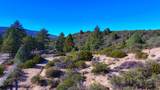 1 Butterfly Peak Road - Photo 7