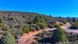 1 Butterfly Peak Road - Photo 8
